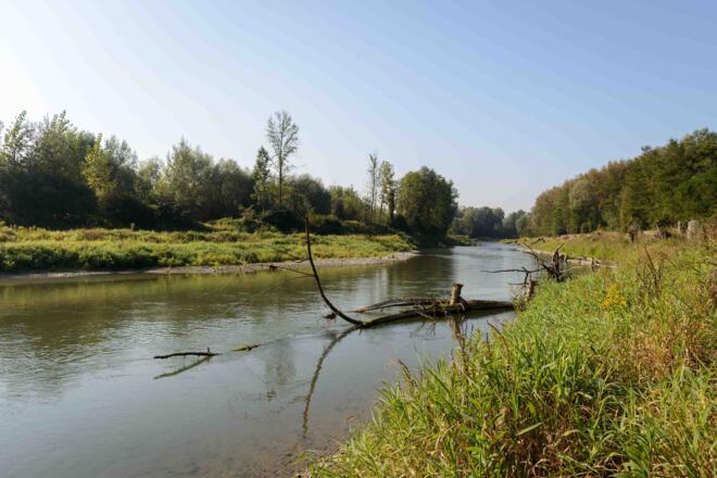 FWH Ottensheim Wilhering