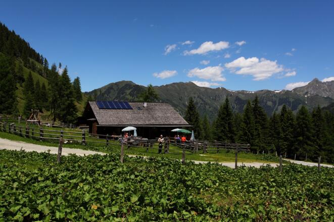 Hirschgrubenalm, 1.564 m