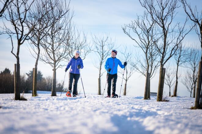 Schneeschuhwandern in Haibach
