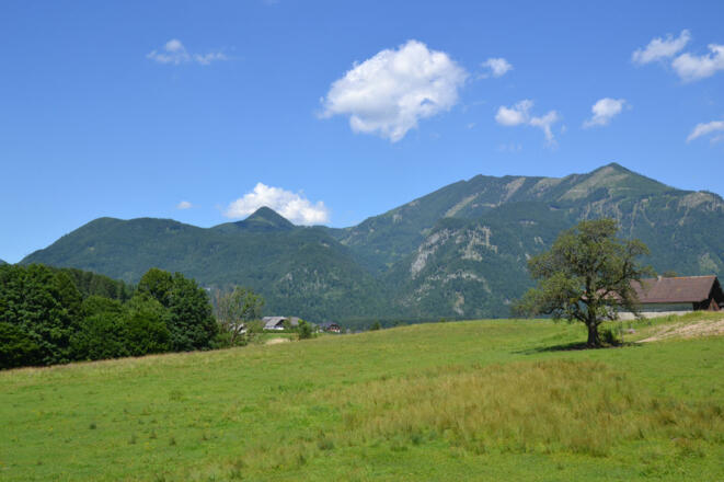 Ausblick auf den Leonsberg