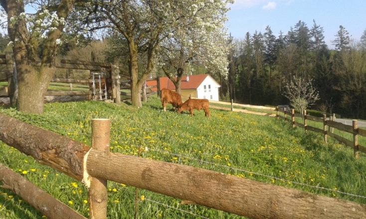 Weide Sigmund