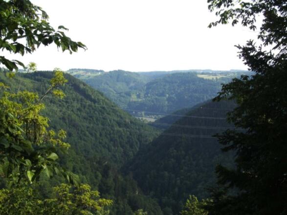 Blick zur Donau vom \"Verlorenen Reith\"