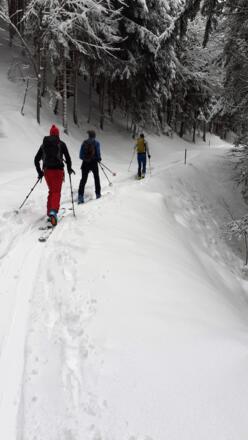 Von Bad Laterns folgen wir ein ganzes Stück der Passstraße durch den Wald.