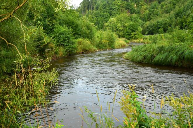 Wandern entlang der Waldaist