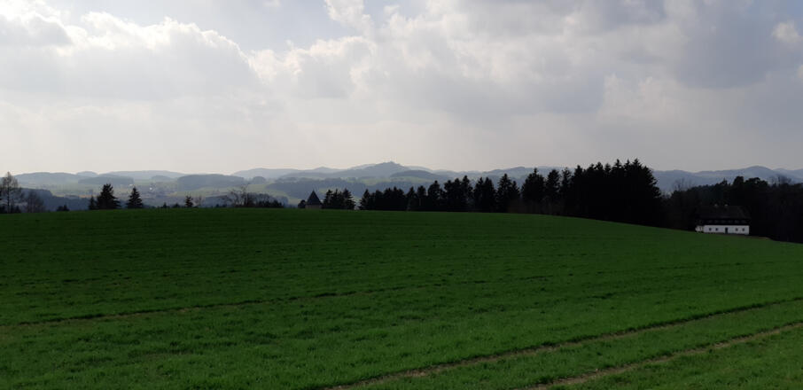 Burgruine Dornach sieht noch über die Kuppe