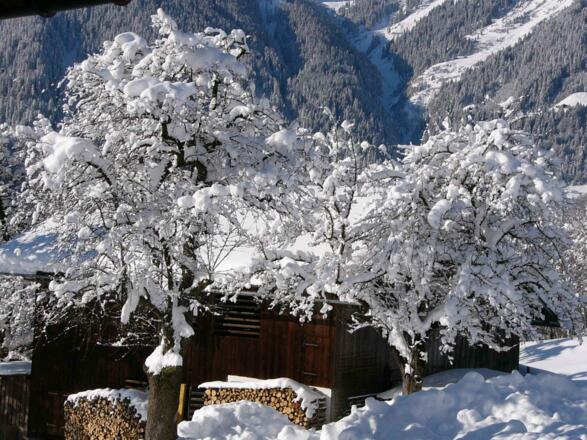 Winter
