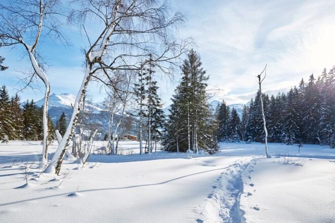 Das verschneite Hochmoor am Pass Thurn