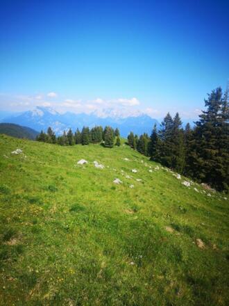 Blick vom Ascherjoch auf das Kaisergebirge