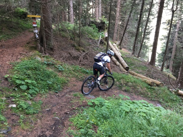 Trail von Padaun hinunter zum Brenner. (Etappe 3)