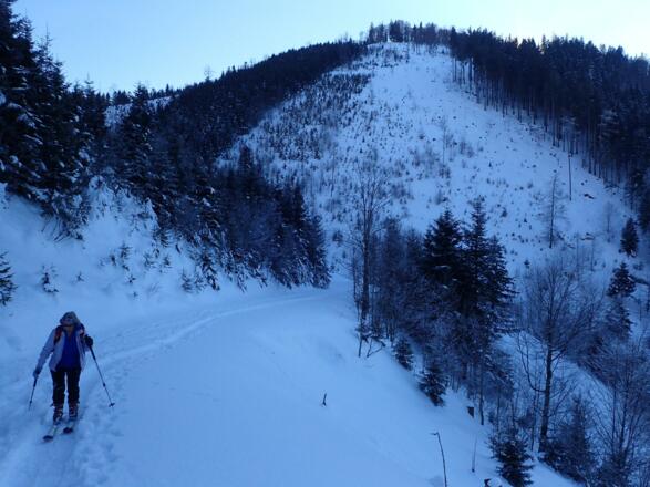 Im Hintergrund der Kahlschlag, an dessen rechtem Rand man abfahren kann