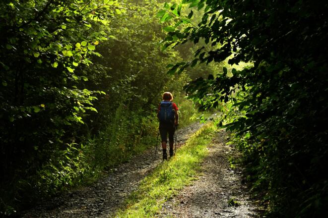 Forststraße nach Haarland