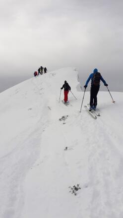 Kurz unterhalb des Gipfels (Hochrohkopf).