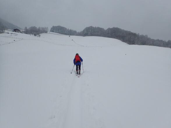 Mäßig steile Wiesenhänge oberhalb vom Friedhof