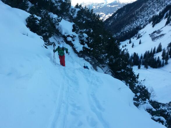 kurze Tragepassage am Ende des Latschengürtels