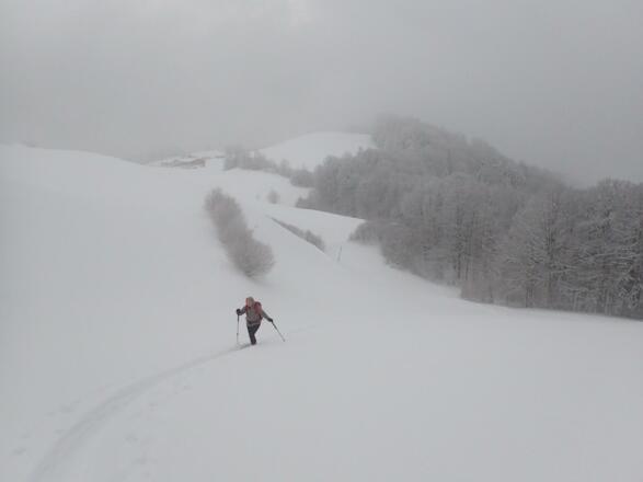Die letzte Wiese unterm Götschen
