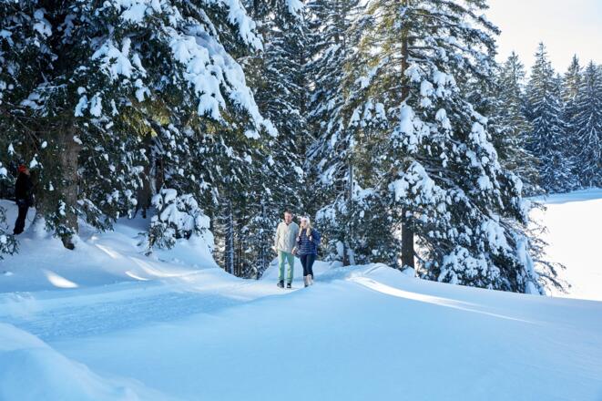 Winterwandern Wasenmoos Mittersill