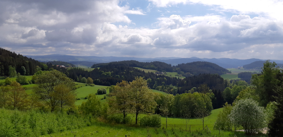 Mühlviertler Ausblicke
