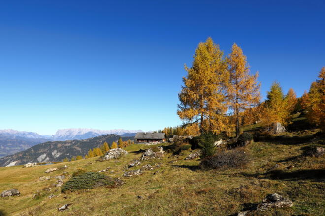 Saukaralm, 1.850 m