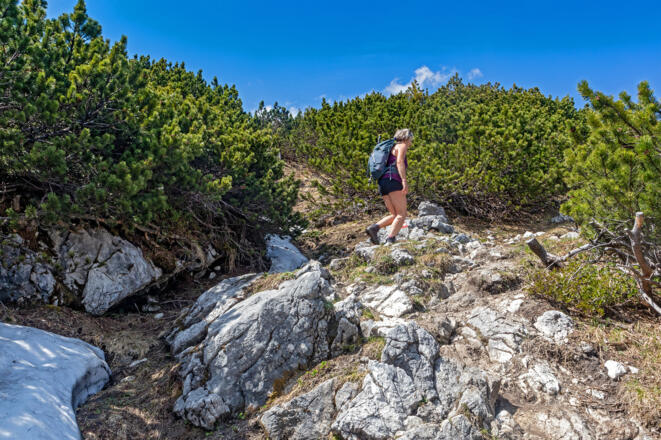 Aufstieg zum Hochleckenkogel