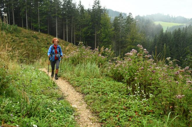 Unterwegs zur Ruine Ruttenstein