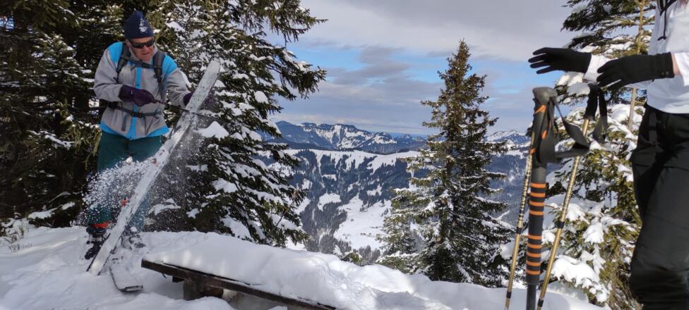 Oben am bewaldeten Gipfel wartet ein Bankerl auf den Gipfelsieger.