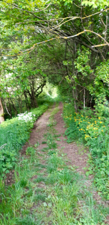 Abstieg nach Hirschbach