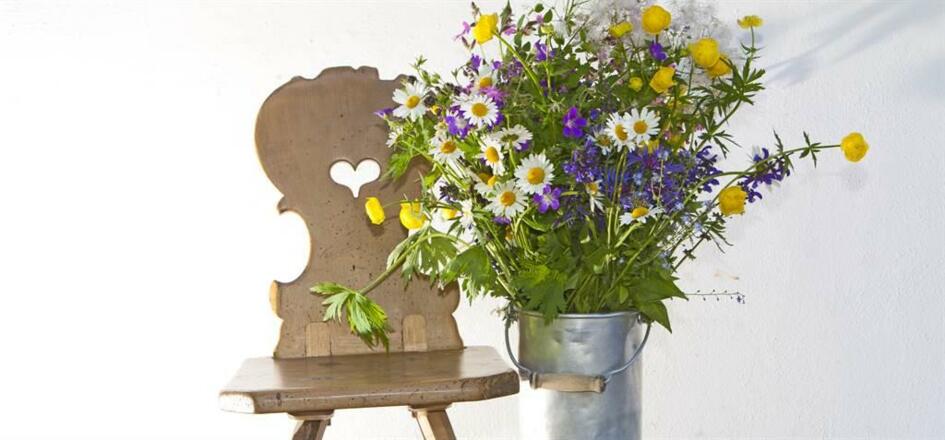 Montafoner Bergblumen