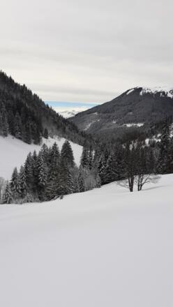 Die letzten Meter der Tour vorbei an der Sackalpe in Richtung Passstraße und Bad Laterns.