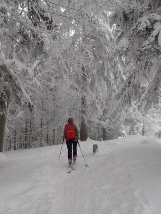 Gipfel ohne Aussicht