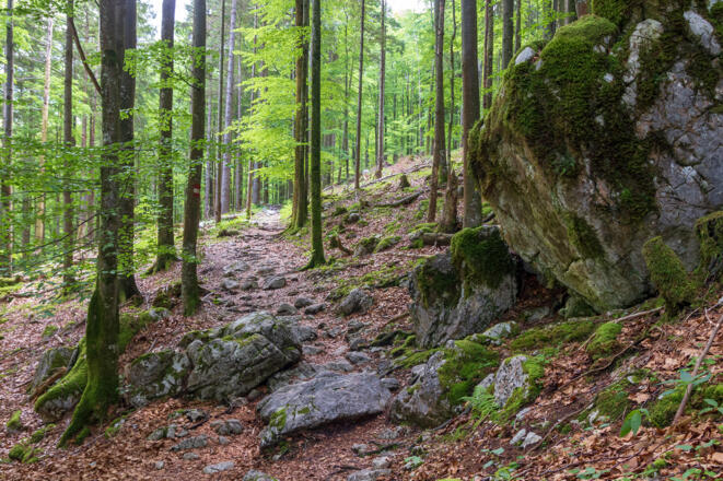 Almweg