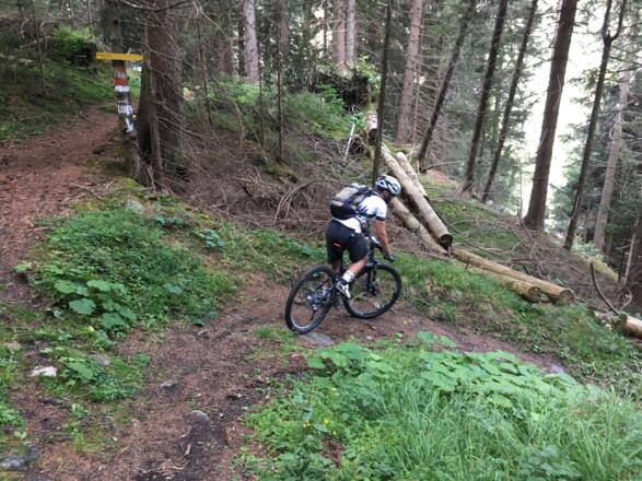 Trail hinunter zum Brennersee