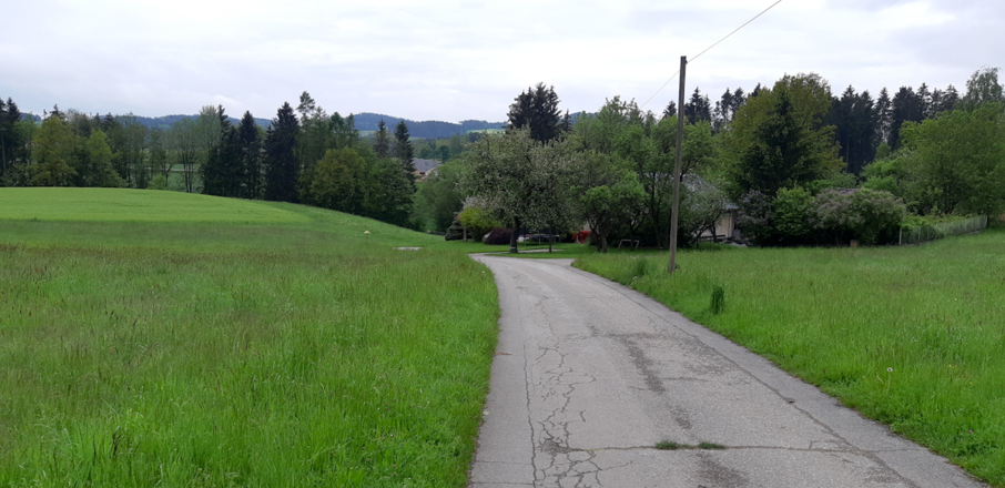Weg in Richtung Soldatenfriedhof