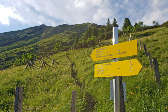 Einmündung des Abstieges vom Kitzstein in den Forstweg