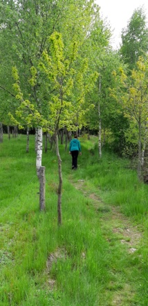 Aufstieg nach St. Peter