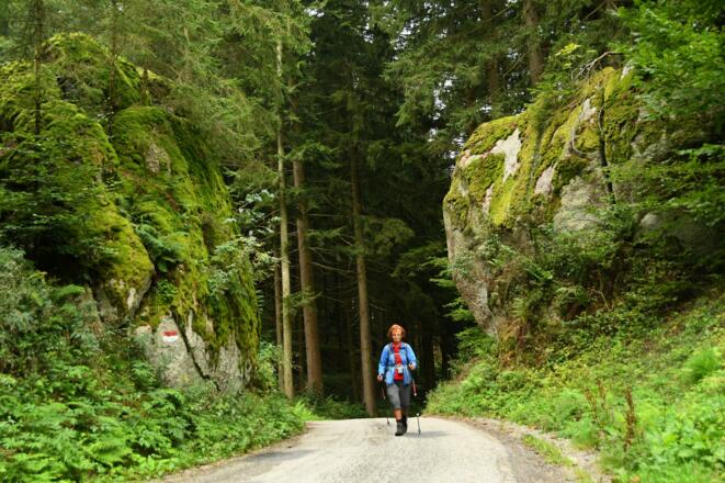 Die Burgruine Ruttenstein ist bald erreicht