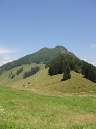 ... und weiter über Schuttannen und den Staufen nach...