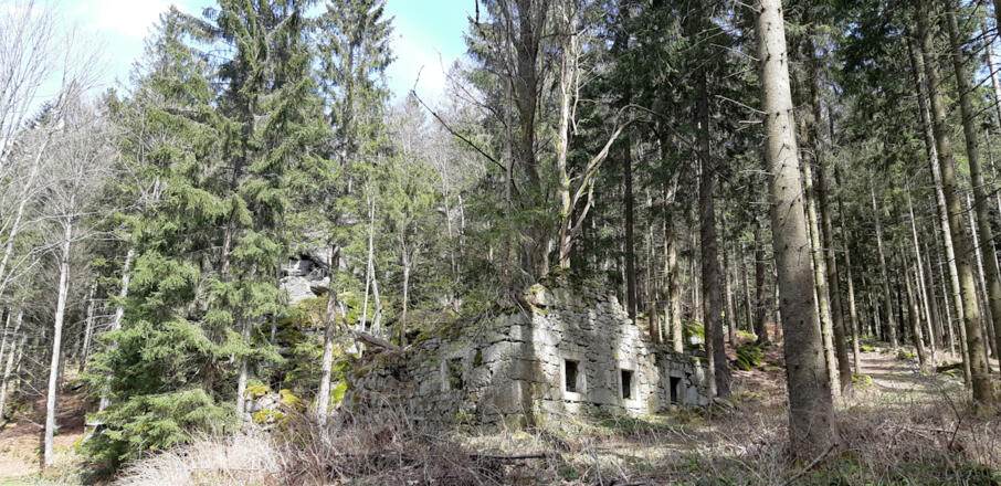 Edlbauer-Ruine und Felsen im Hintergrund