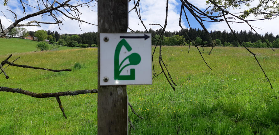 Logo der Gothikrunde