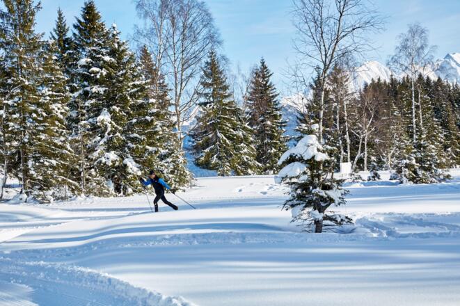 Winterwandern und Langlaufen Wasenmoos Mittersill