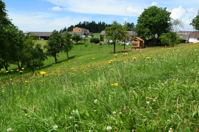 Streusiedlung Guttenbrunn