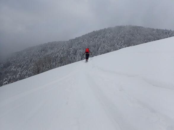 Der bewaldete Hohe Götschen