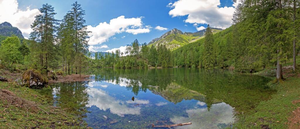 Wiesensee
