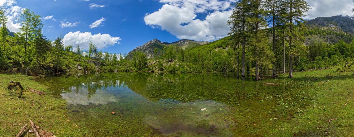 Wiesensee