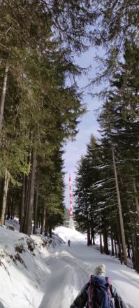 Nach der ersten Abfahrt geht es Richtung Sender auf der Forststraße