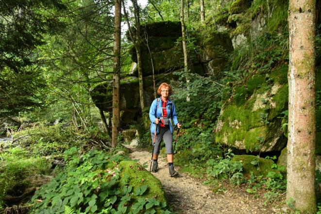 Wunderschöner "Burgen-und Schlösserweg" entlang der Großen Naarn
