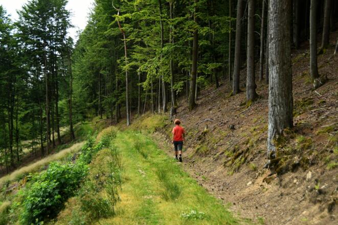 Unterwegs in der Guttenbrunner Leitn