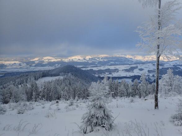 Ausblick ins Flachland beim Abstieg