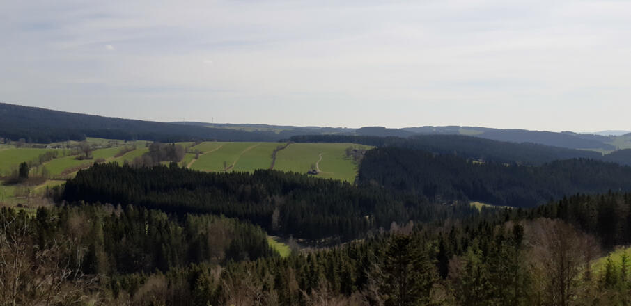 Ausblick auf der Jankuskirche