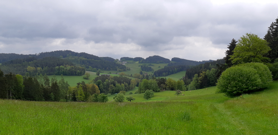 Noch mehr Mühlviertel