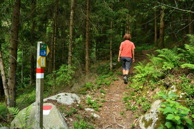 Über Forst- und Waldwege in Richtung Bauernhof Wenigeder